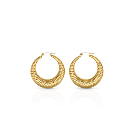 Tropical Shell Women's Gold Plated Hoops