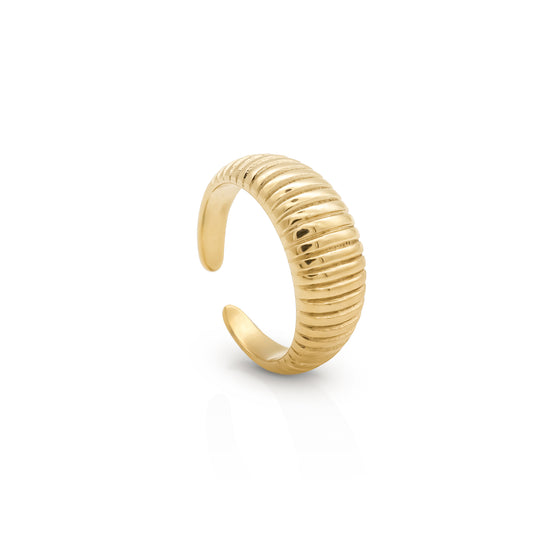 Tropical Shell Gold Plated  Ring